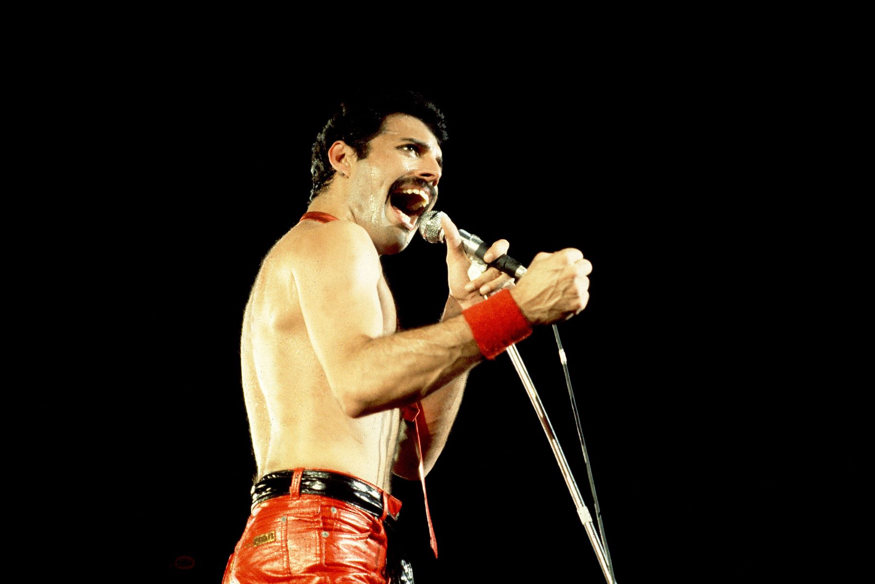 You are currently viewing Freddie Mercury Dedicated His Solo Album to a Surprising Man in His Life: ‘Screw Everybody Else!’