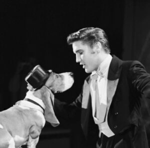 Read more about the article Elvis Presley’s ‘Hound Dog’ Was Altered to Be About an Actual Dog
